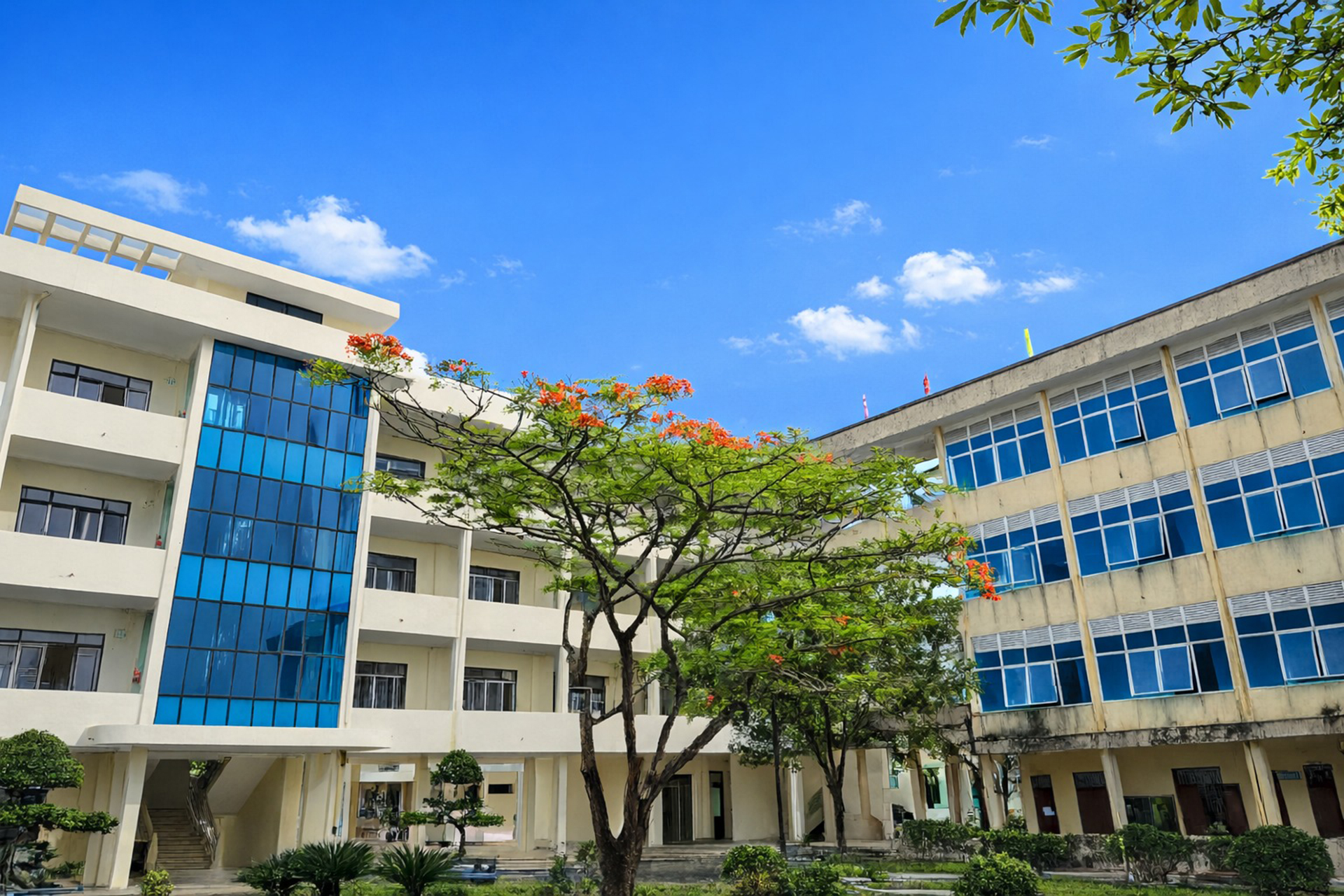 Trần Thị Tuyết